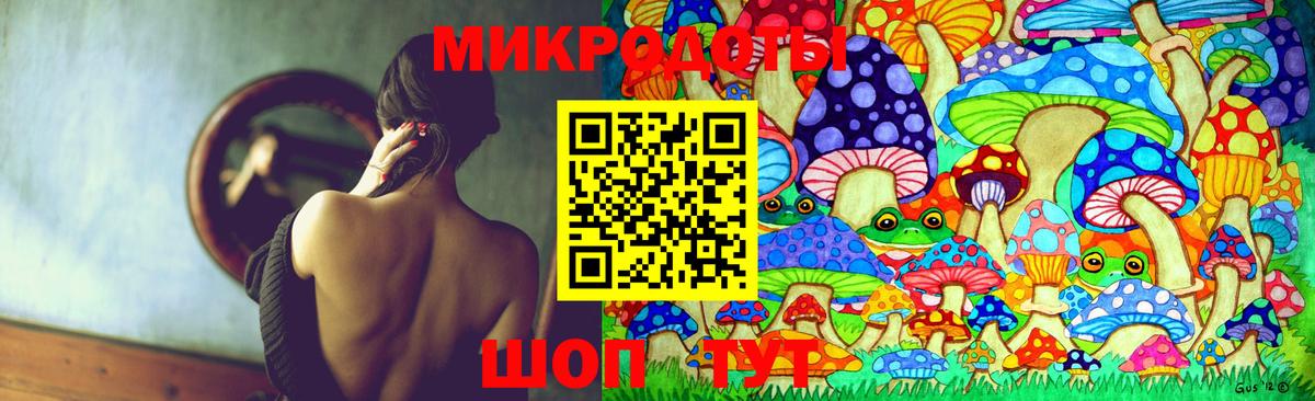 Галлюциногенные грибы мухоморы Зима