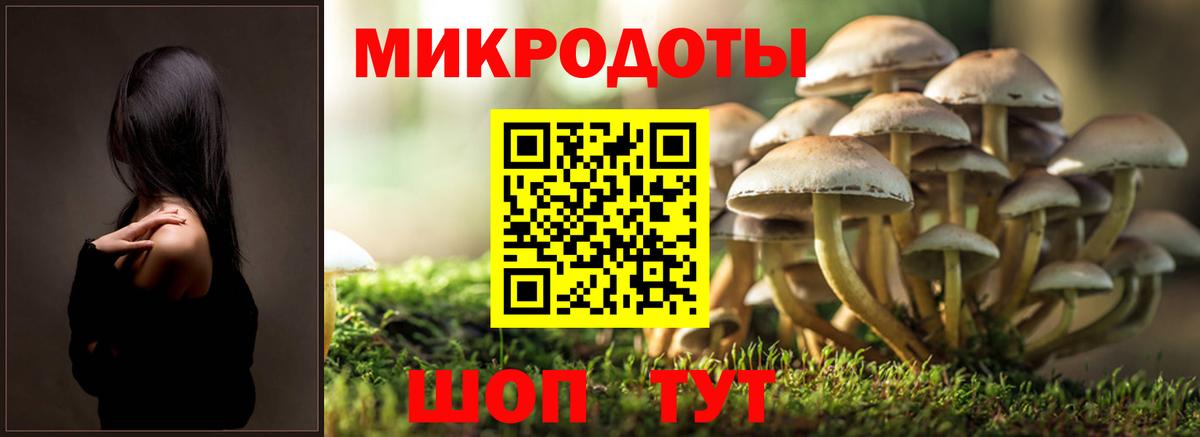Зима  Галлюциногенные грибы MAGIC MUSHROOMS  Вход с VPN 